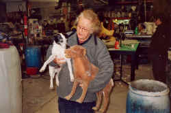 Rasmus introduceres til frste udgave af sin kopi